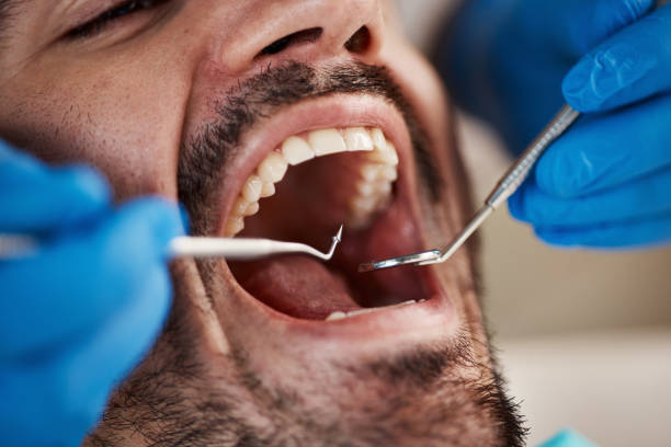 Best 24-Hour Emergency Dentist in North Charleroi, PA